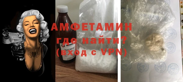 шишки Богородицк