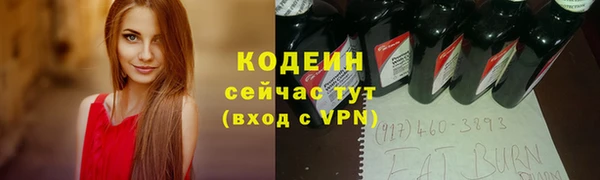 шишки Богородицк