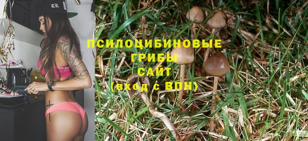ешки Балахна